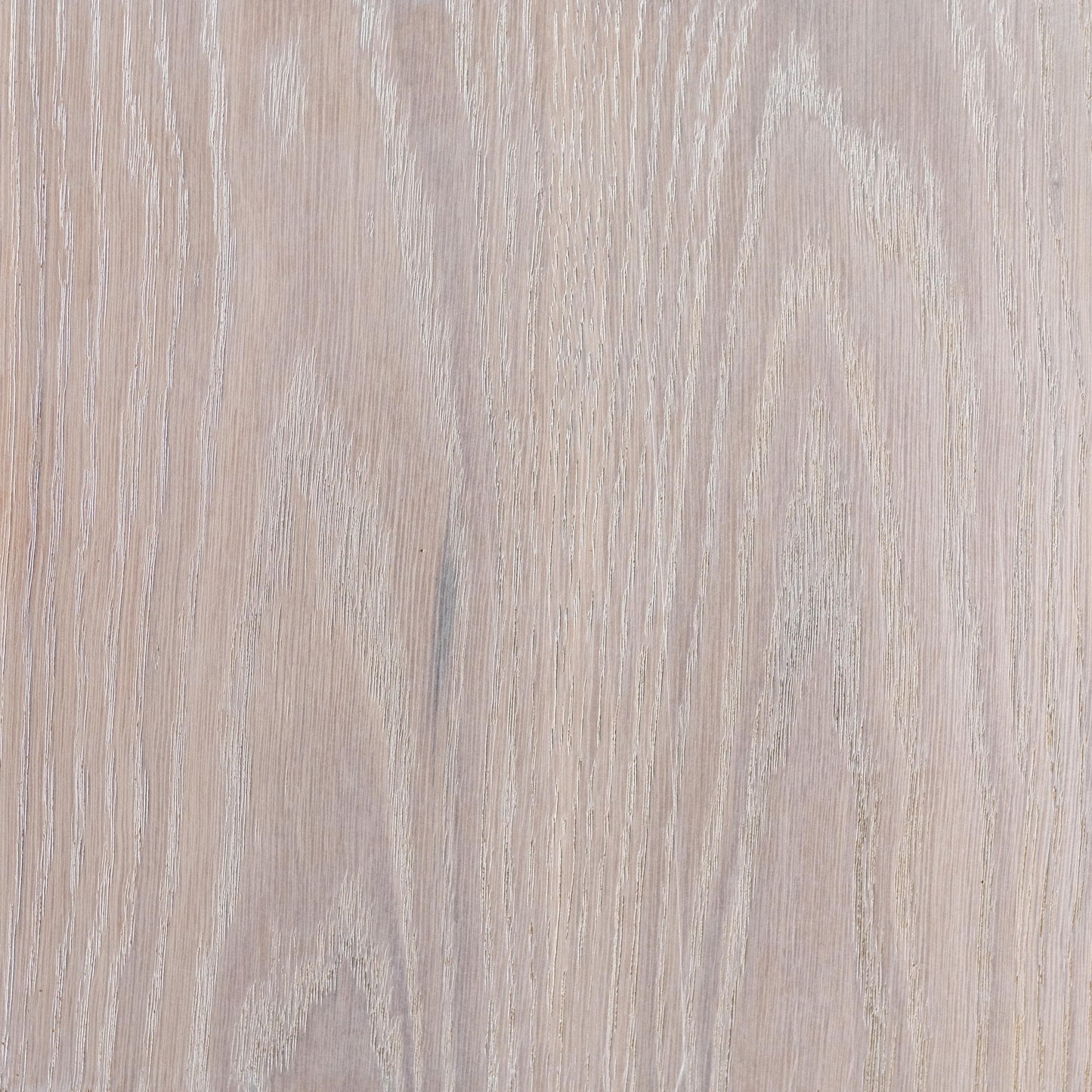 Francesca Credenza